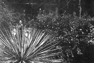 Studio site with Frank 1960
